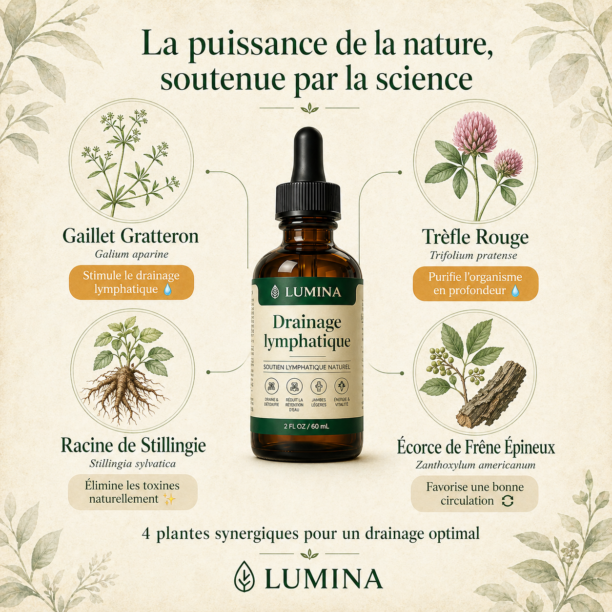 Lumina™ - Ton Corps Garde Tout. Donne-lui la Permission de Lâcher.